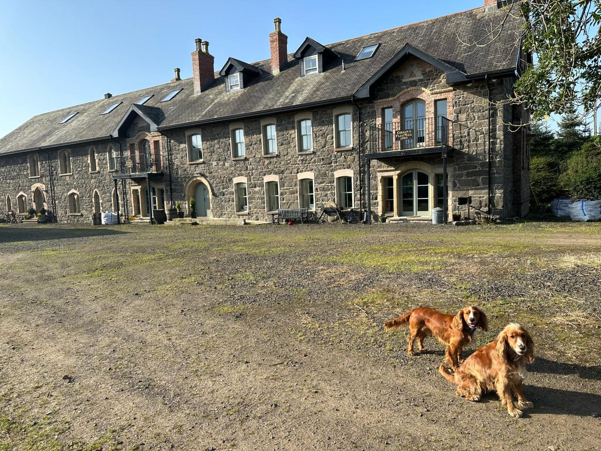 The Old Flax Mill Yoga Retreat Coleraine Exterior foto